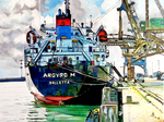 Agyro M